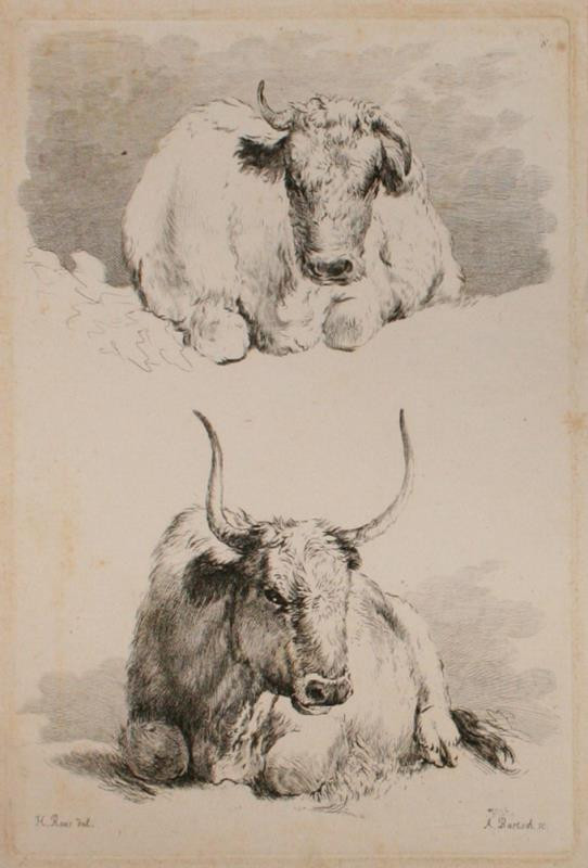 Adam Bartsch - Etudes d' animaux dessintes par H. Roos