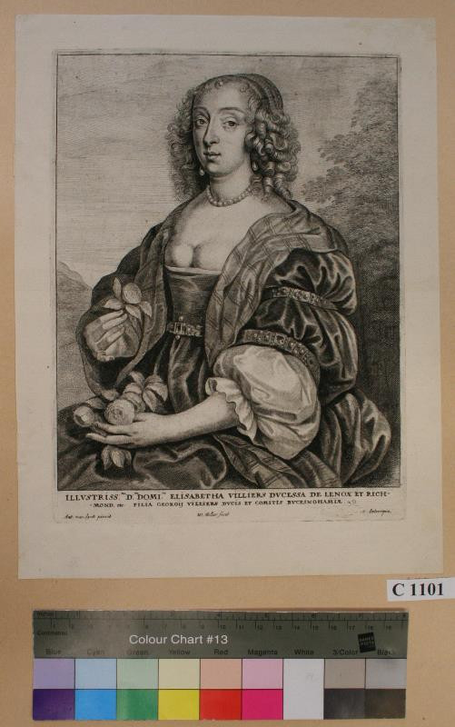 Václav (Wenceslaus) Hollar - Illustris ma D na Domina Elisabetha Villiers