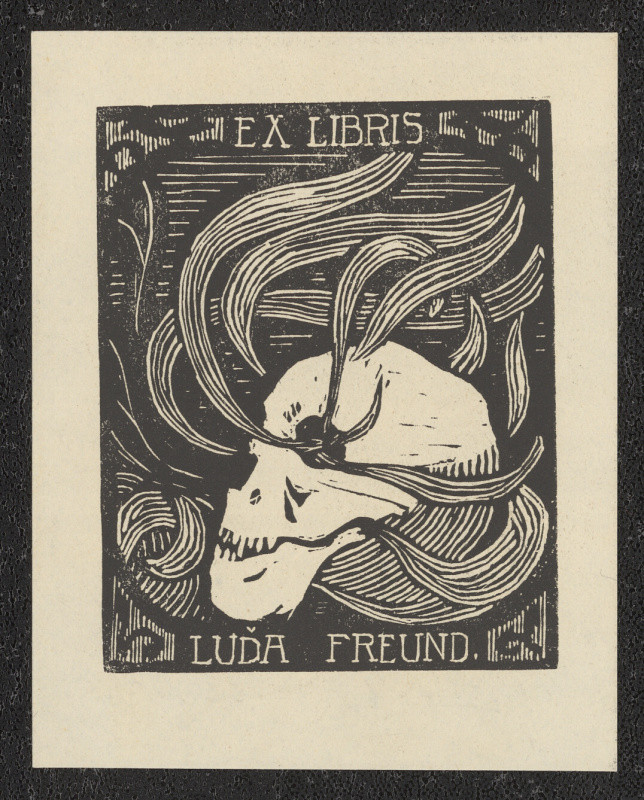 František Michl - Ex libris Luďa Freund