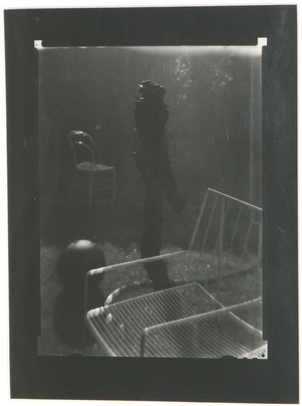 Josef Sudek - Vzpomínky - Večerní procházka