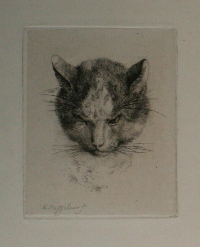 Cornelis Steffelaer - grafika - zvíře