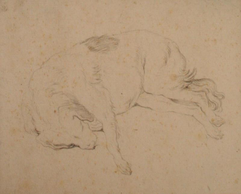 Johann Elias Ridinger (Riedinger) - Spící pes
