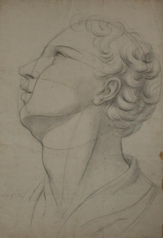 Carl von Sales - Studie hlavy, profil z podhledu