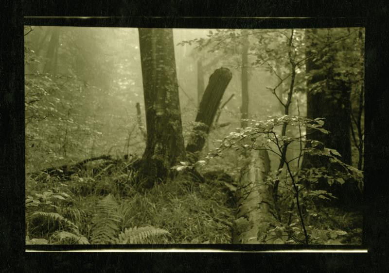 Josef Sudek - Fotografická poznámka, Jaro na Mionši