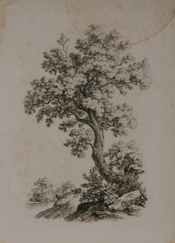 Antonín Mánes - Studie stromu (Krajina s dobytkem)