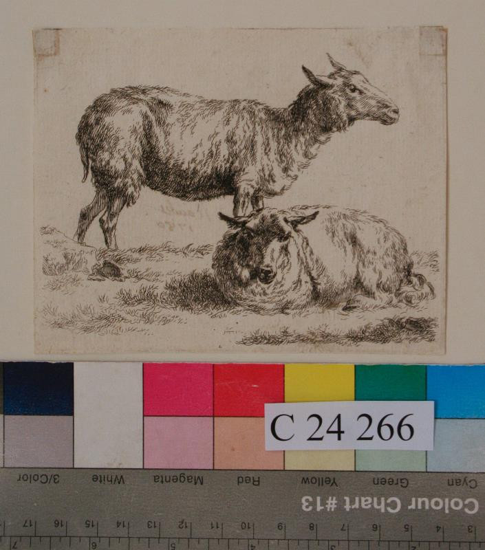 Claes (Nicolaes) Berchem - Dvě  ovce