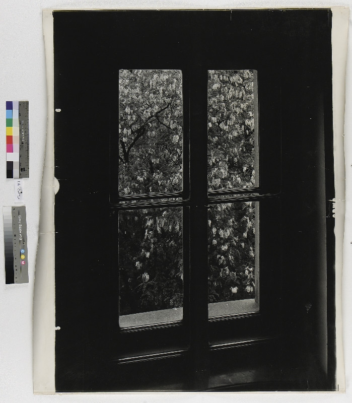 Jan Svoboda - Pohled z okna XIII., Studie / View from a Window XIII., A Study