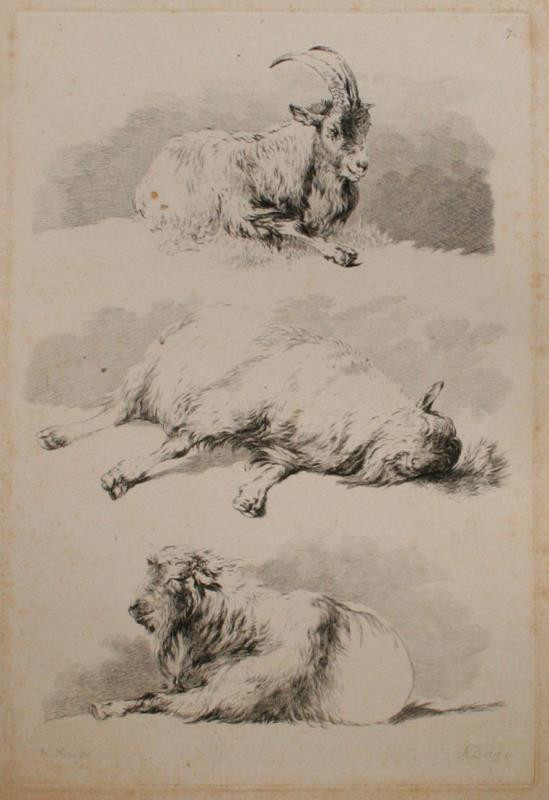 Adam Bartsch - Etudes d' animaux dessintes par H. Roos