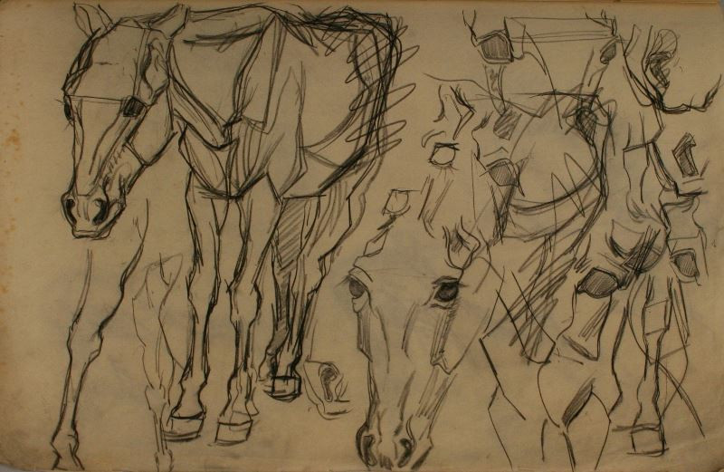 Josef Kubíček - Studie koně