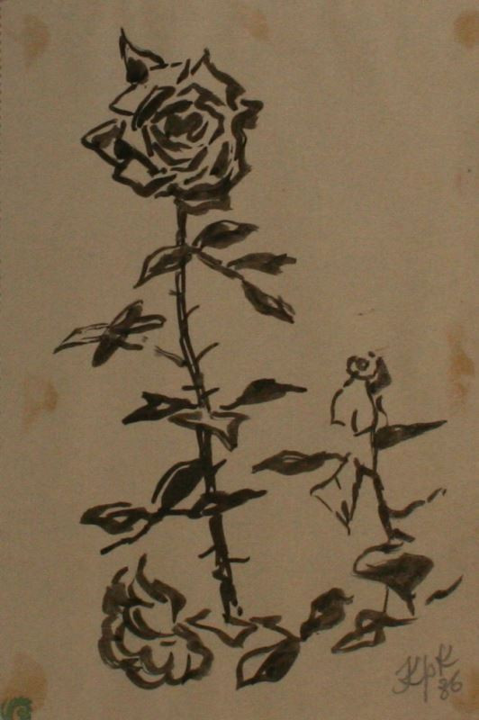 Jan Konůpek - Růže