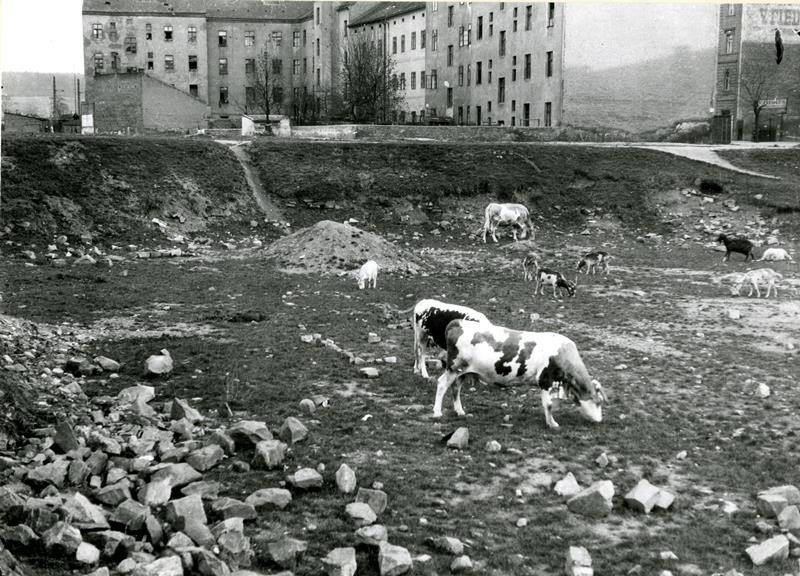 Jiří Lehovec - Pastvina v Nuslích.