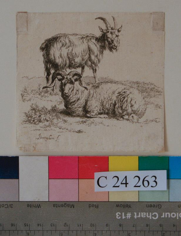 Claes (Nicolaes) Berchem - Ovce  a  koza