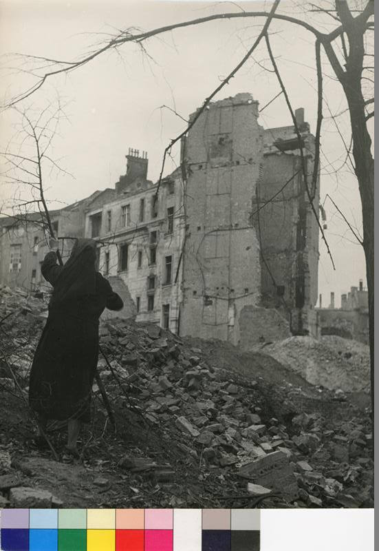 Jindřich Marco - Dříví na zimu, listopad 1945