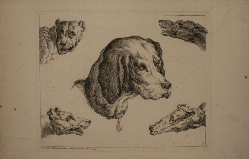 Johann Elias Ridinger (Riedinger) - studie psů