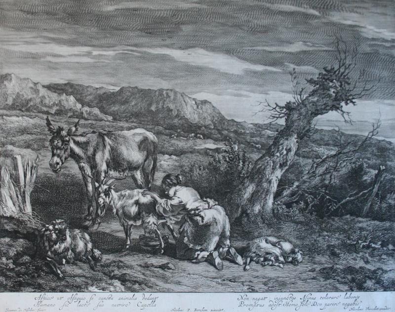 Jan de Visscher - Dojička koz