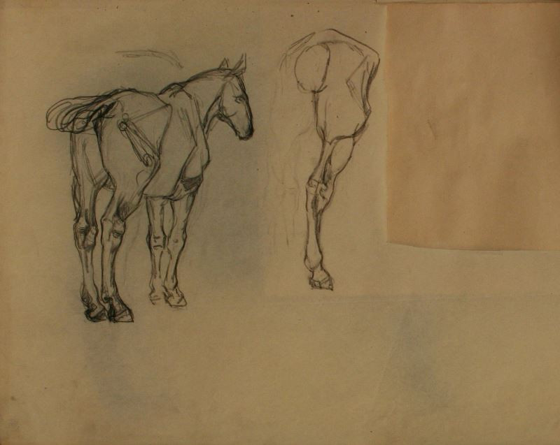 Josef Kubíček - Studie koně