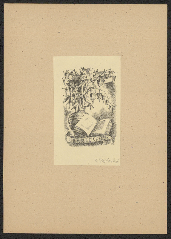 Dobroslava Bilovská - Ex libris MUDr. Brücknerové Olgy. in Exlibris 10 litografií