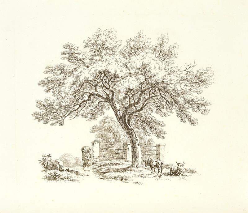 Antonín Mánes - Studie stromu se ženou na cestě s kravami