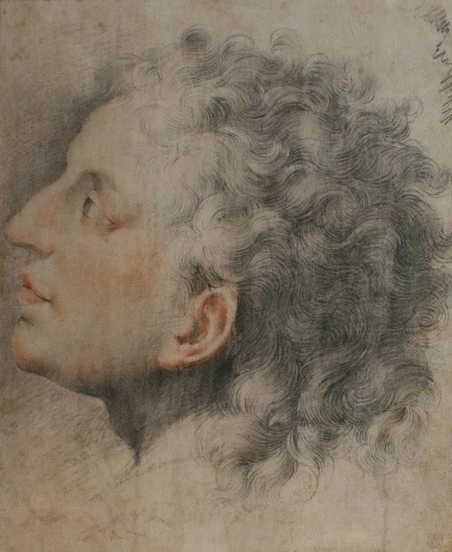 neznámý malíř italský - Studie hlavy Apollona