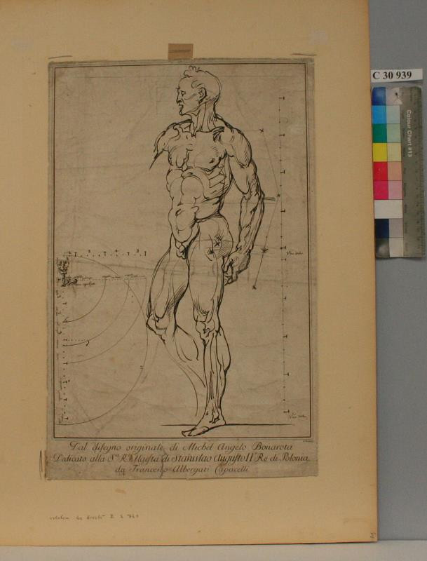 Luigi Fabri - Studie proporcí mužského těla dle Michelangela