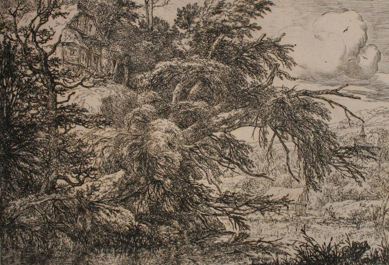 Jacob Isaakszoon van Ruisdael - Chalupa na vrcholu kopce