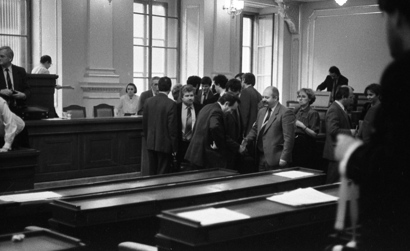 Dagmar Hochová - V jednacím sále České národní rady, jaro 1991