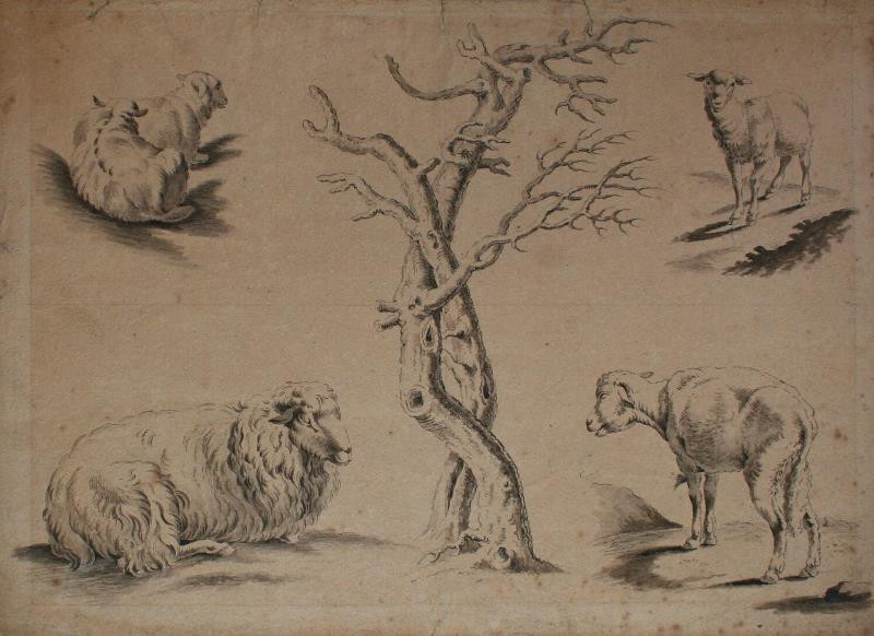 neznámý - Studie ovcí a stromu