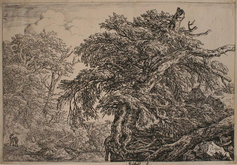 Jacob Isaakszoon van Ruisdael - Dva chodci se psem