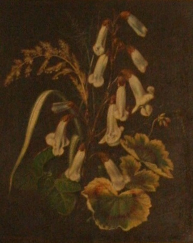 Franz Adolf Feilhammer - Květiny