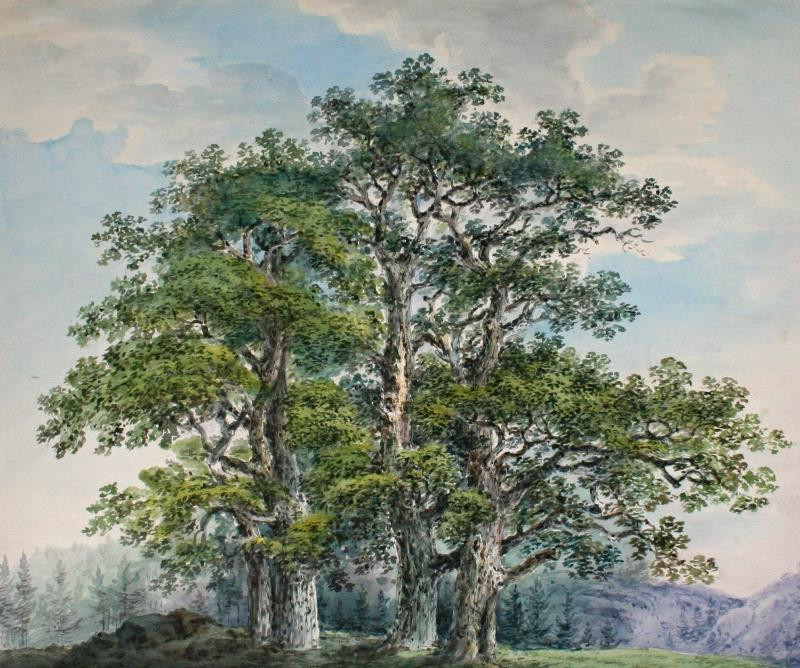 Josef Ethler - Skupina stromů