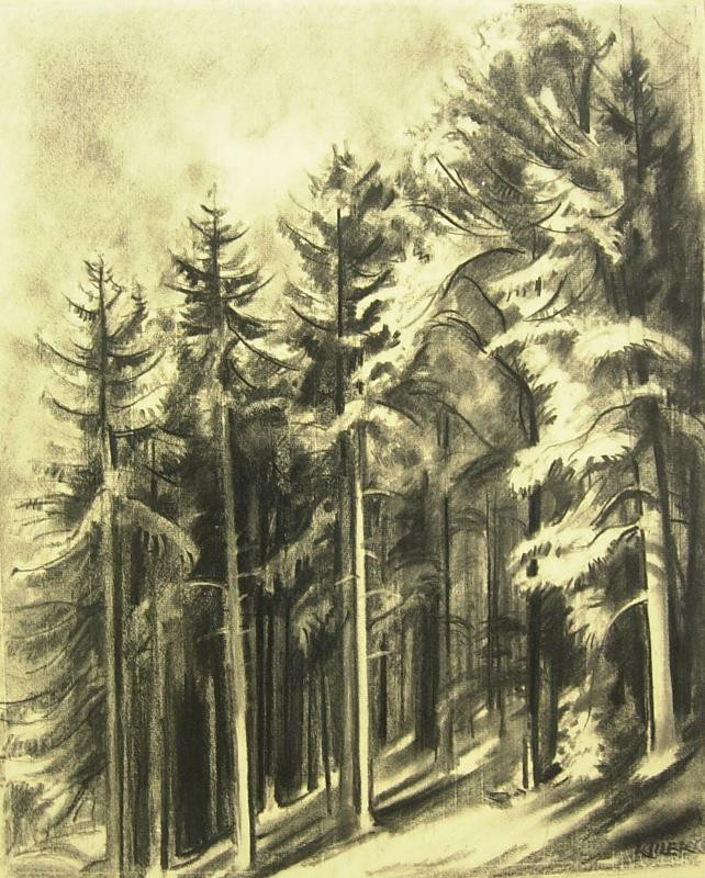 Karel Jílek - Vzrostlý les
