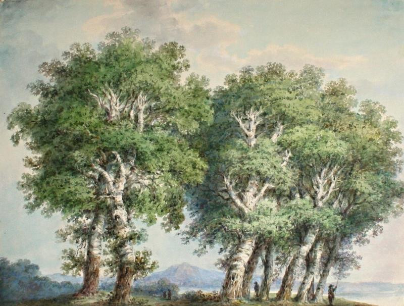 Josef Ethler - Skupina stromů u Husovic