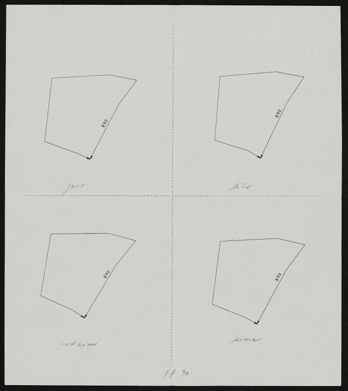 Pavel Holouš - Topografie: Dolní Lhota / pole (PF 1990)