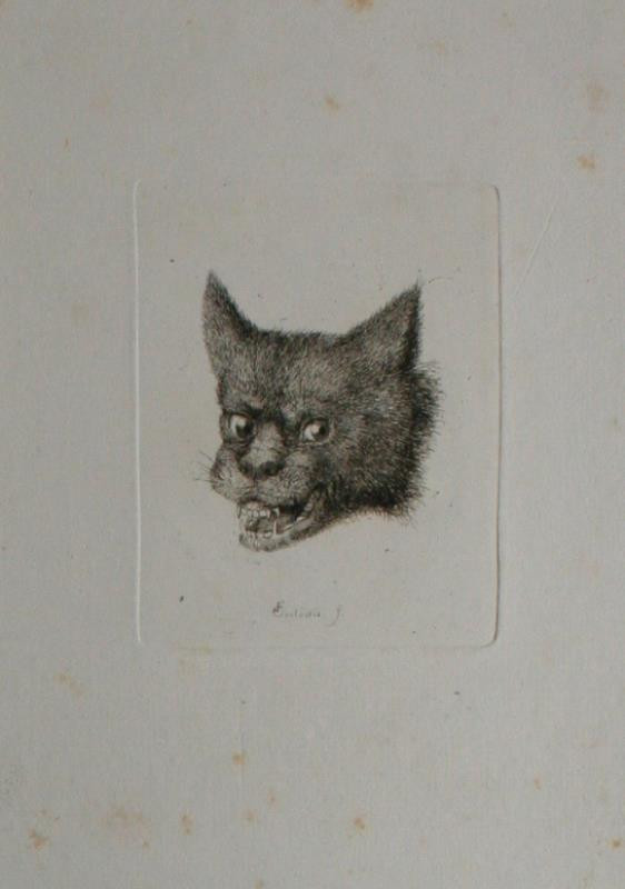 Franz Custodis - Hlava kočky