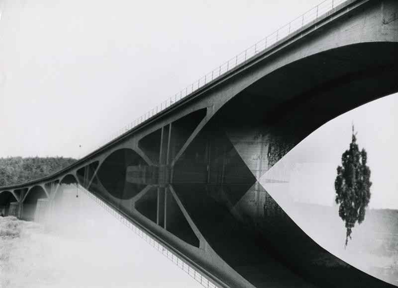 Jaroslav Rössler - Most se stromem