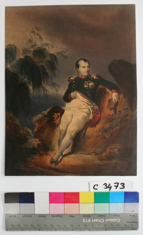 Louis Stanislas Marin-Lavigne - Napoleon