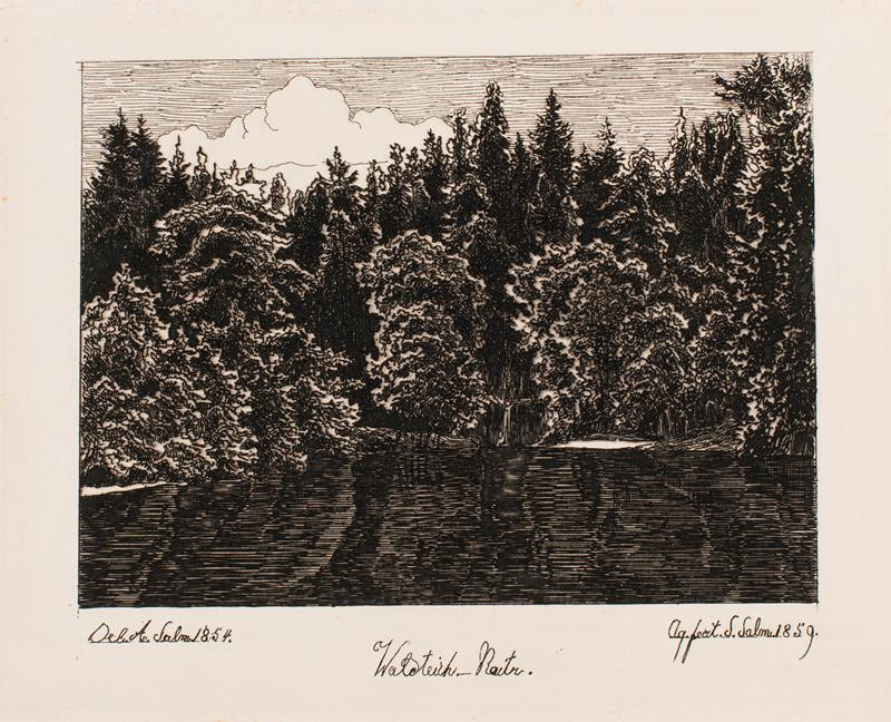 Siegfried Salm-Reifferscheidt - Lesní rybník v Rájci nad Svitavou