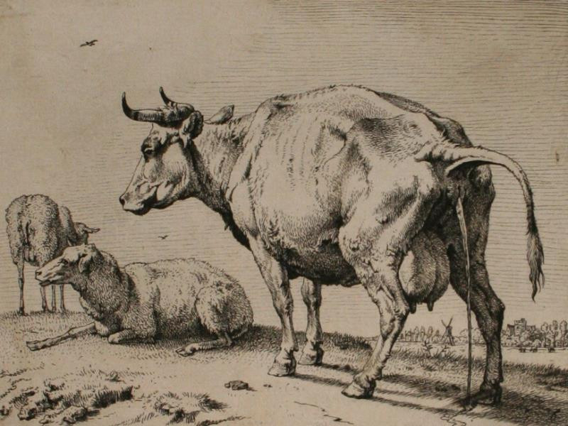 Paulus Potter - Kráva a dvě ovce