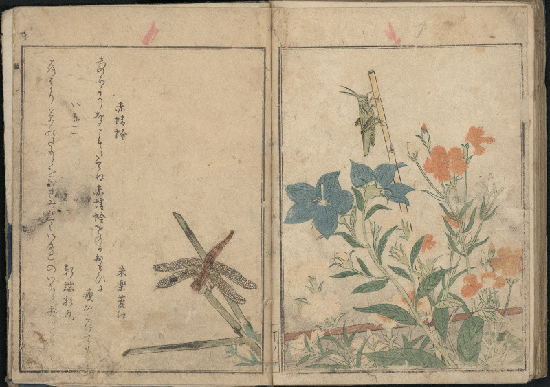 Utamaro - Knížka hmyzu