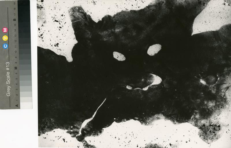 Vilém Reichmann - Kočka ze souboru Hibernalie