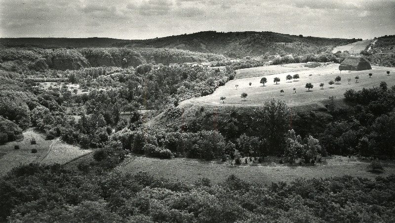 Miloš Spurný - Rokytná.