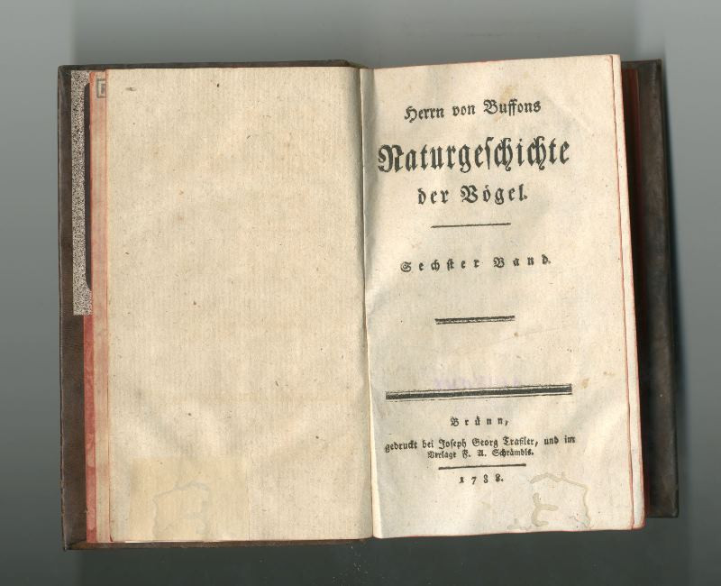 Franz Anton Schrämbl, Georg Louis Leclerc de Buffon, Joseph Georg Traßler - Naturgeschichte der Vögel.Sechster Band
