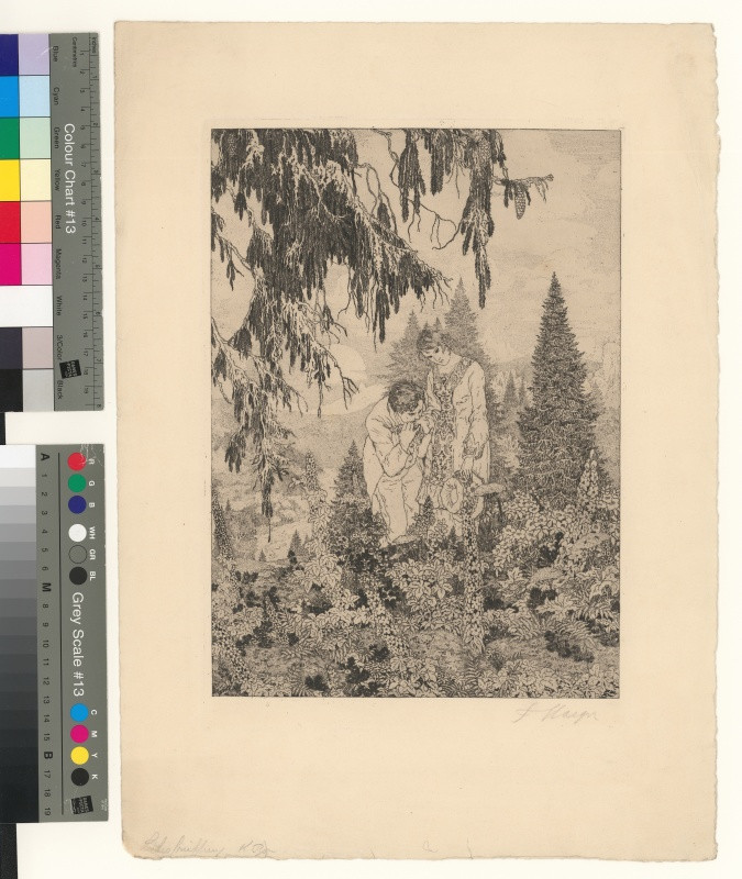 Ferdinand Staeger - Ilustrace:  Milenci v lese