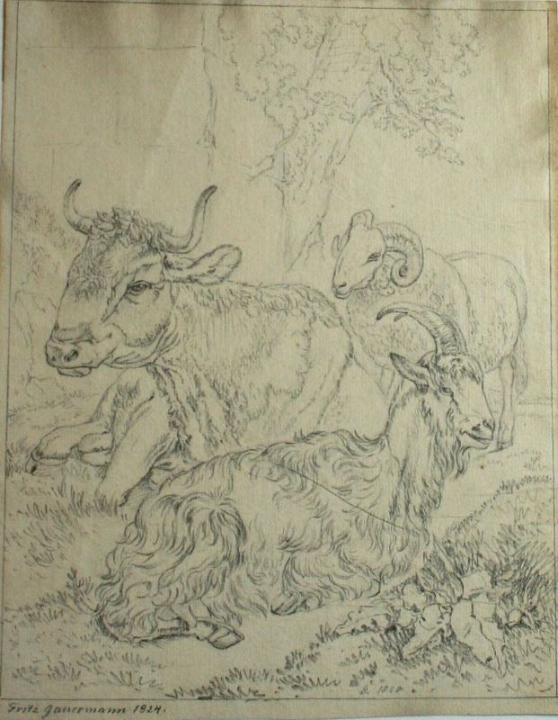Friedrich Gauermann - Studie krávy, kozy, ovce
