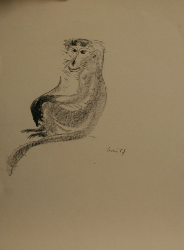 Vilma Lesková - Sedící opička