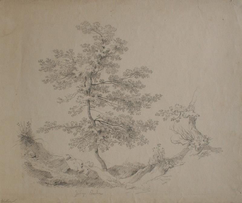Ernst Welker - Studie stromu