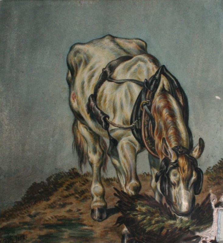 Franz Veith - Kůň