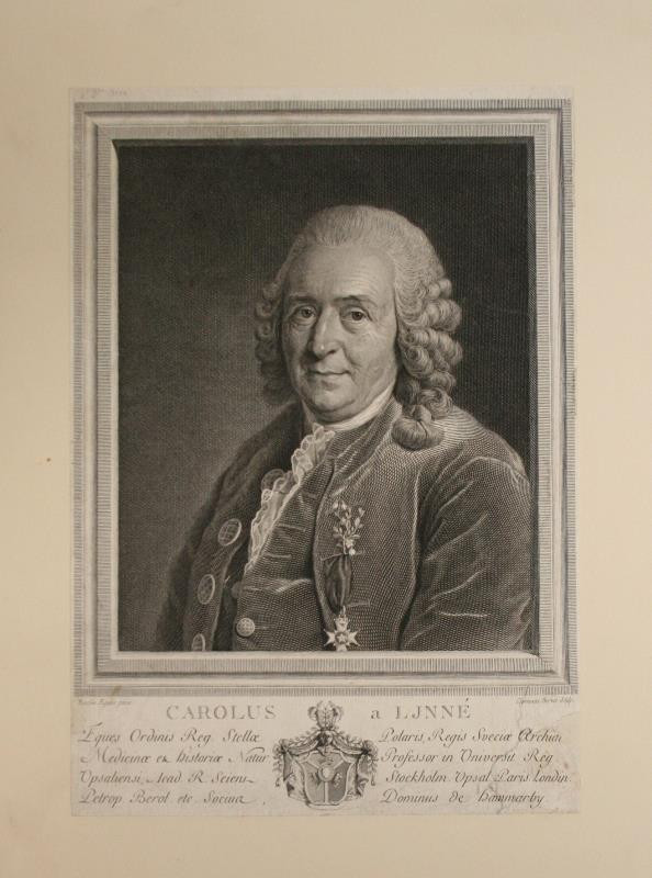 Charles Clément Bervic - Carolus a Linné