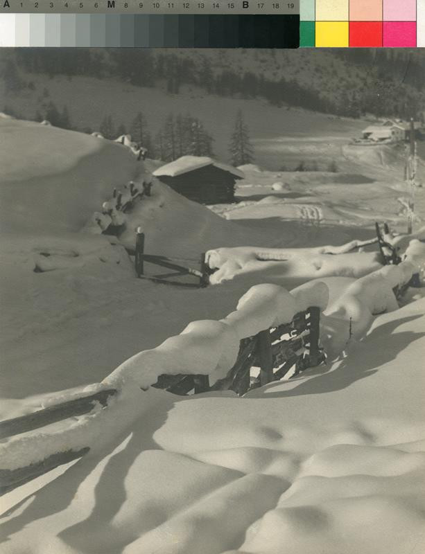 Alois Zych - Zima na horách