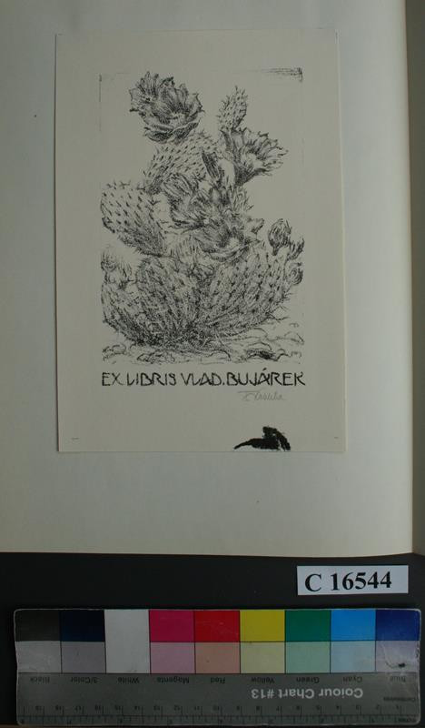 František Kobliha - Ex libris V. Bujárek
